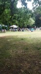 The main event area